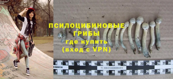 меф Нефтегорск