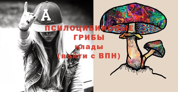 PSILOCYBIN Наволоки