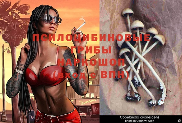 крисы Новокубанск