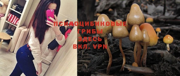 PSILOCYBIN Наволоки