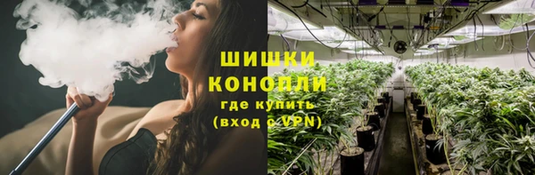 крисы Новокубанск