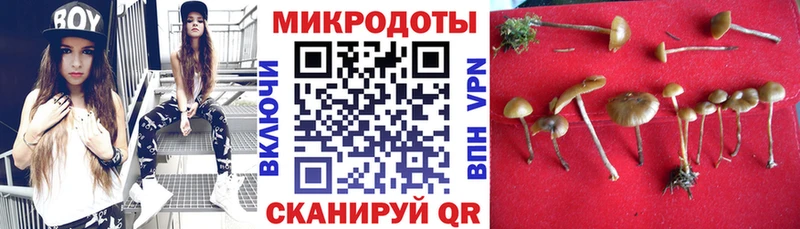 Псилоцибиновые грибы ЛСД  где найти   Великий Новгород 