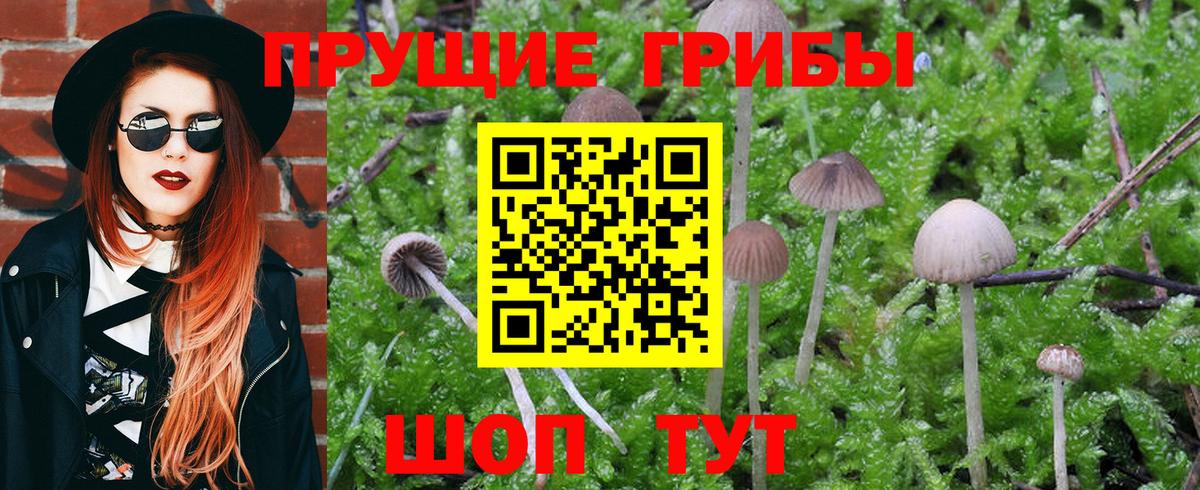 Галлюциногенные грибы мицелий Великий Новгород