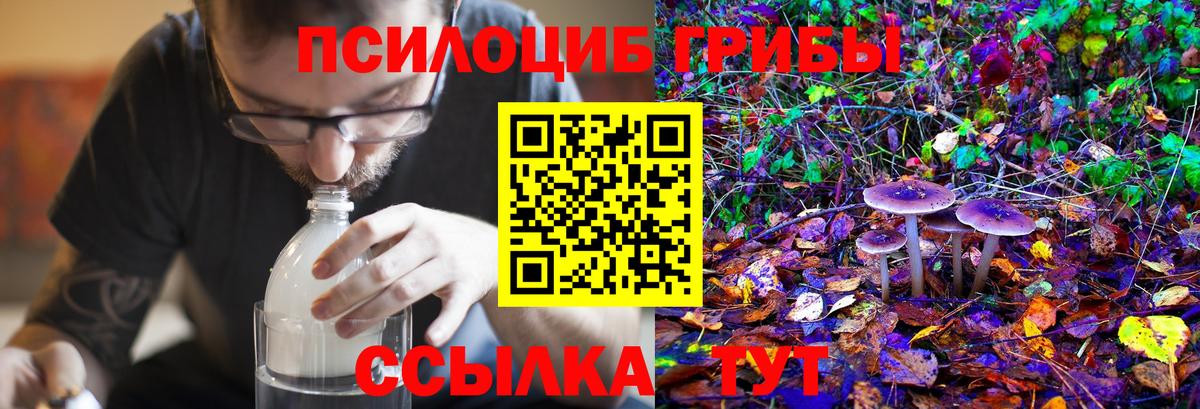 купить   Галлюциногенные грибы мицелий  Галлюциногенные грибы MAGIC MUSHROOMS  Вход с VPN  Великий Новгород 